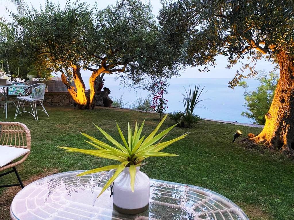 La Bouganvilla Charme & Relax Vista Mare フィナーレ・リーグレ エクステリア 写真