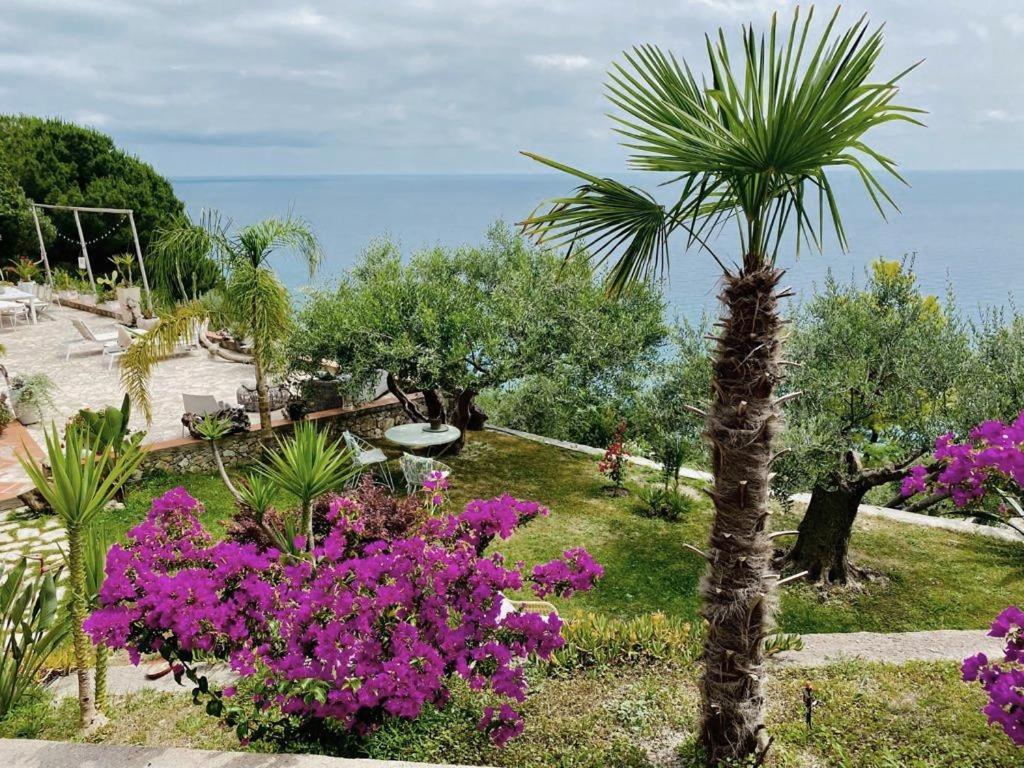 La Bouganvilla Charme & Relax Vista Mare フィナーレ・リーグレ エクステリア 写真